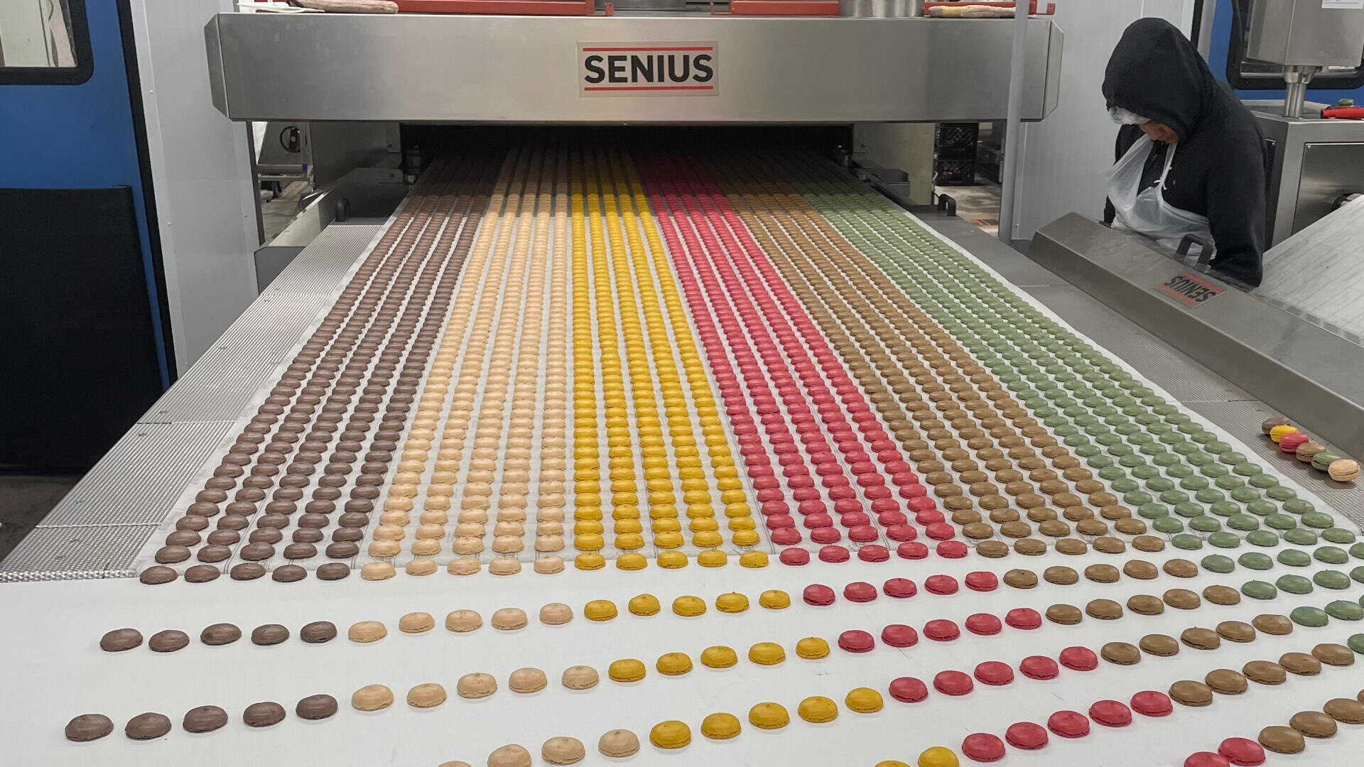 Reihen von bunten Macarons laufen über ein Förderband in einen großen Industrieofen mit der Aufschrift "Senius", während ein Arbeiter im Kapuzenpulli auf der rechten Seite des Bildes den Prozess überwacht.