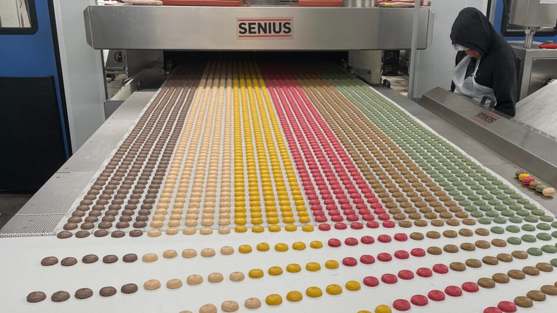 Rows of colorful macarons in shades of brown, yellow, red, and green move on a conveyor belt toward an industrial oven, with a worker standing to the side watching the process.