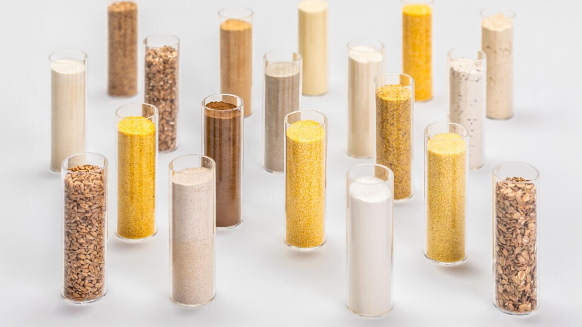 A group of clear cylindrical containers holds various grains and powders in shades of brown, yellow, white, and beige, arranged upright on a light surface.