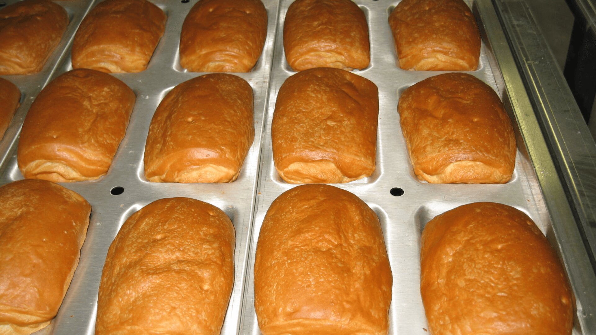 Rows of freshly baked golden brown bread rolls placed in a metal baking tray with individual rectangular slots.