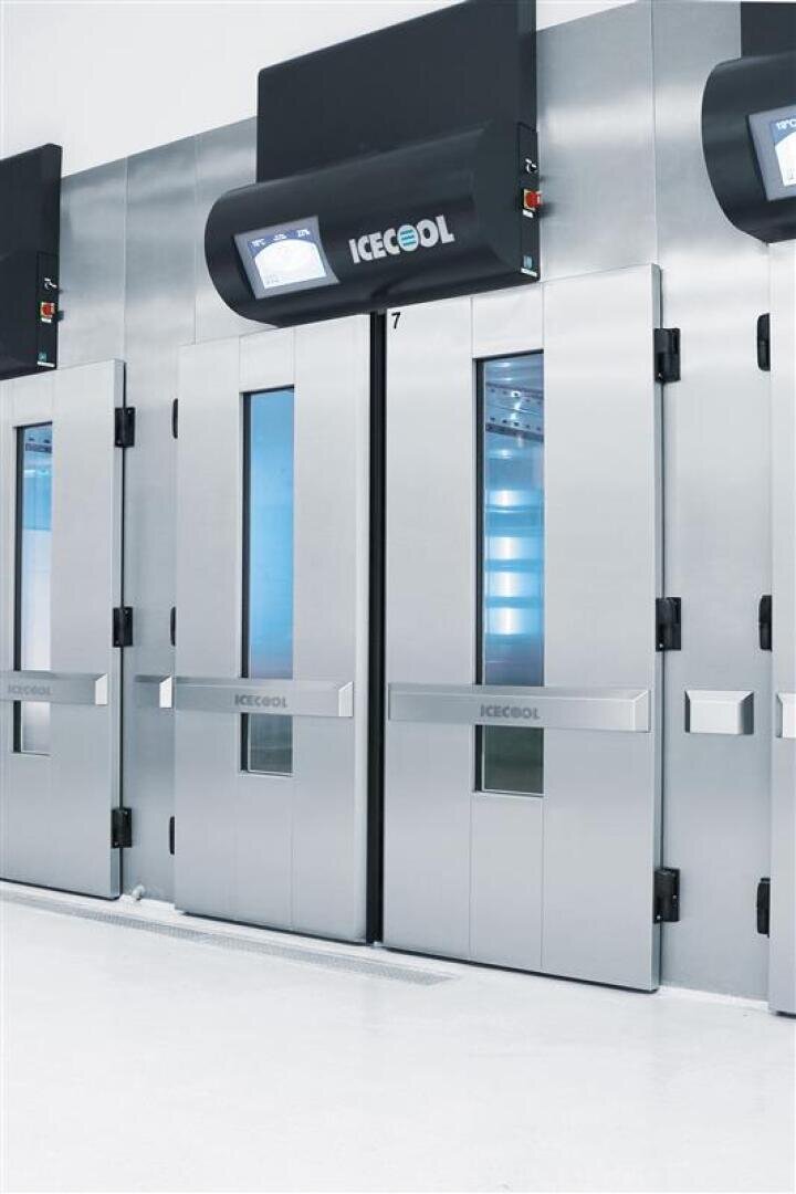 Eine Reihe großer Industriekühl- oder -gefrierschränke aus Edelstahl mit der Aufschrift ICECOOL, mit Fensterscheiben und Kontrollanzeigen über jeder Tür in einer sauberen, hellen Einrichtung.