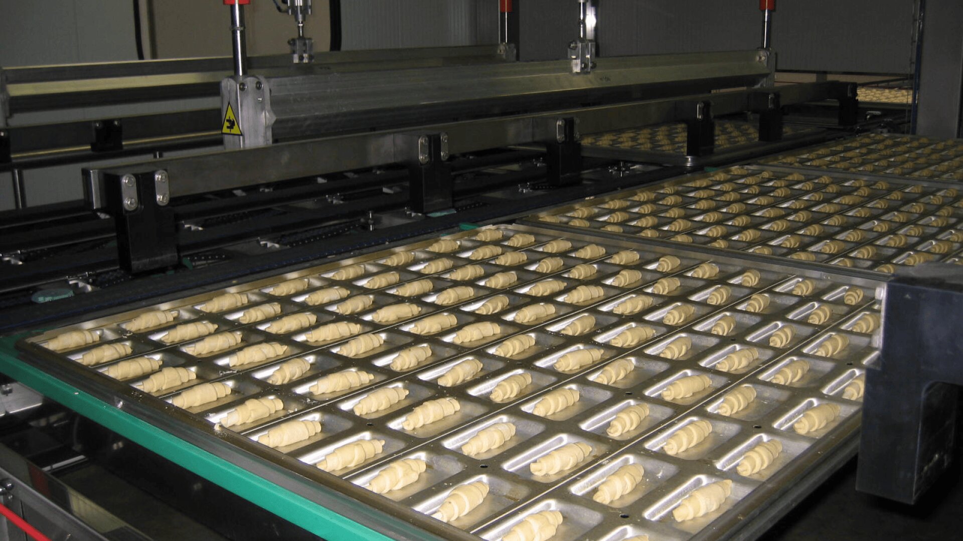 Metal trays filled with rows of unbaked croissants move along a conveyor belt in an industrial bakery production line.