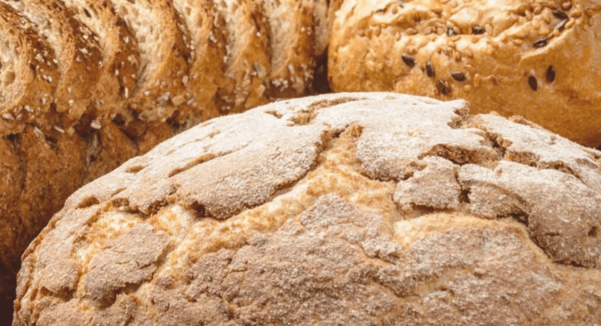 Rustikale Brotlaibe, darunter ein runder Laib mit einer rissigen, mehlbestäubten Kruste und in Scheiben geschnittenes Mehrkornbrot mit Körnern, sind dicht nebeneinander angeordnet.