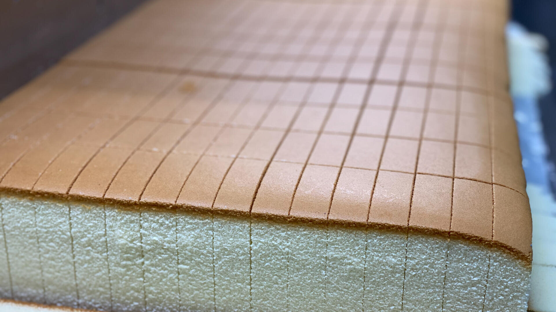 A close-up of a large rectangular sponge cake with a golden brown top, scored with evenly spaced vertical and horizontal lines, ready to be sliced into smaller pieces.