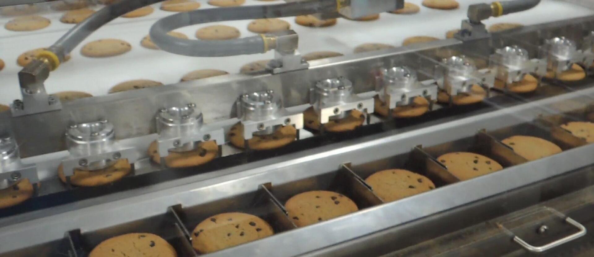 A close-up view of a factory production line where chocolate chip cookies are being sorted and packaged by an automated machine. Cookies are aligned on a conveyor belt beneath mechanical devices.