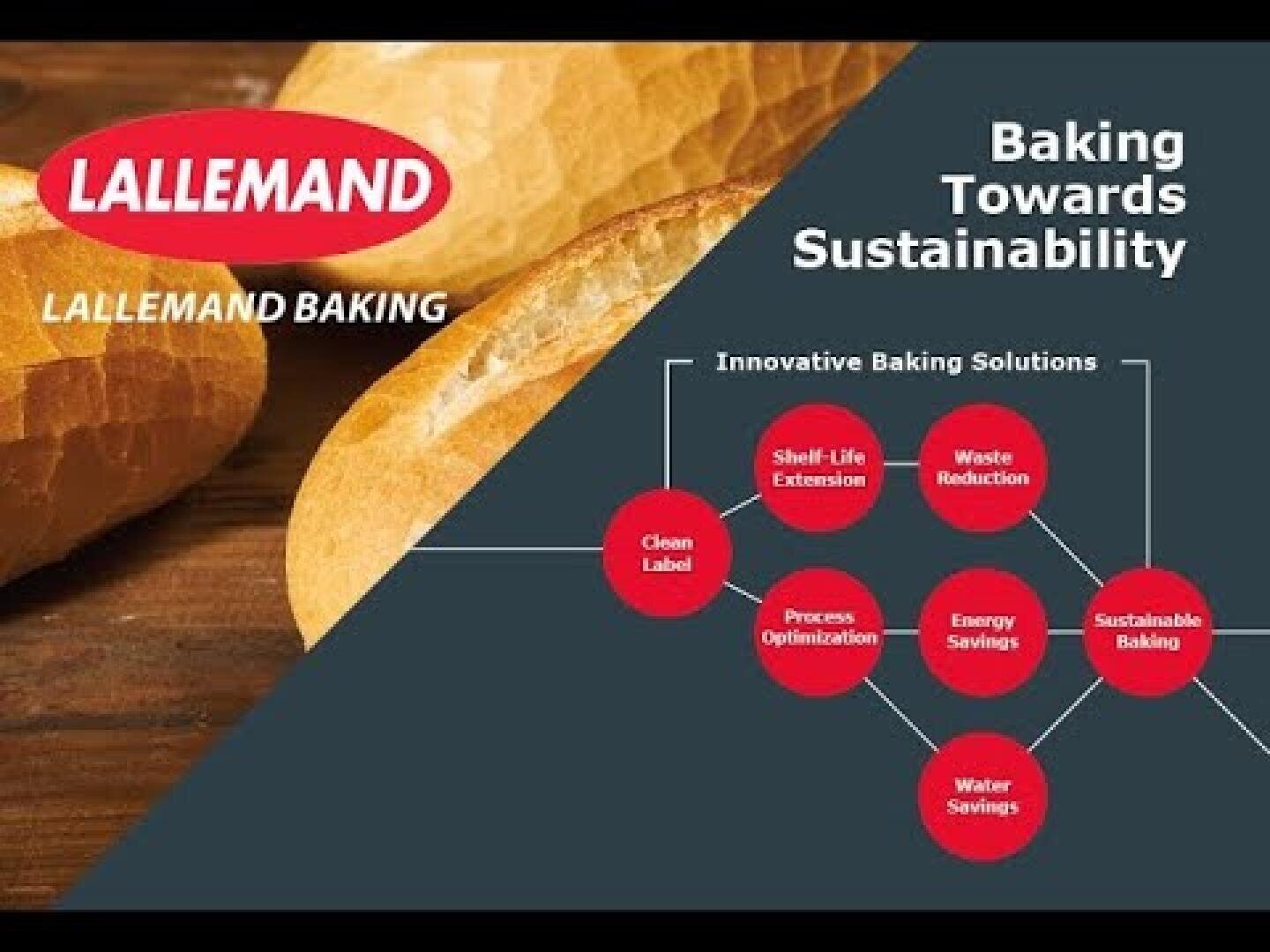 Lallemand Baking logo with baguettes in the background; infographic showing innovative baking solutions such as shelf-life extension, waste reduction, sustainable baking, energy savings, water savings, and process optimization.