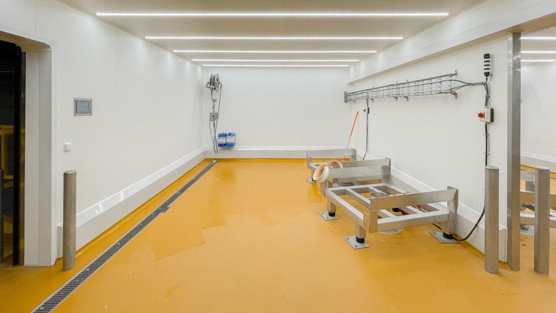 A clean, empty industrial room with yellow flooring, white walls, overhead LED lights, metal benches, a hose reel, a drain, and utility fixtures mounted on the wall.