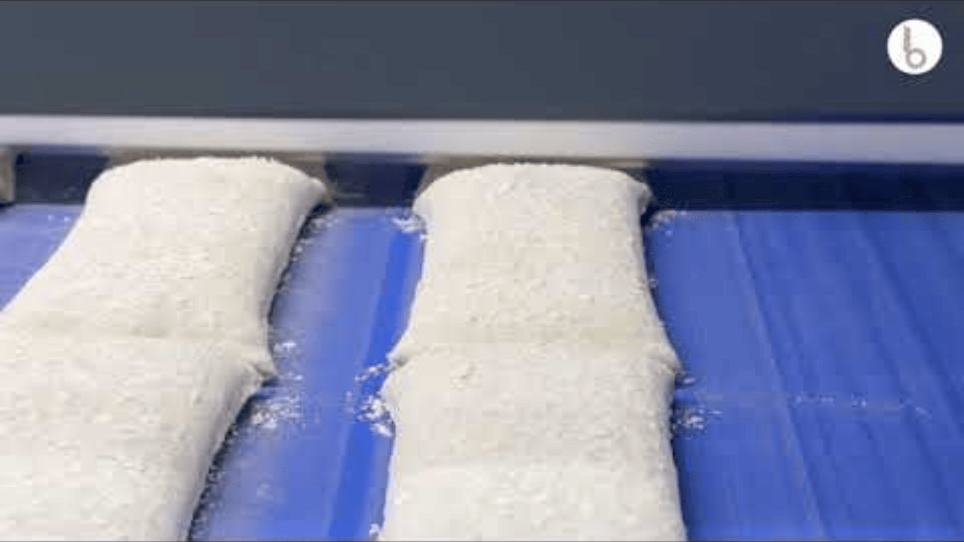 Rectangular pieces of dough are lined up on a blue conveyor belt, likely in a food processing or bakery setting.