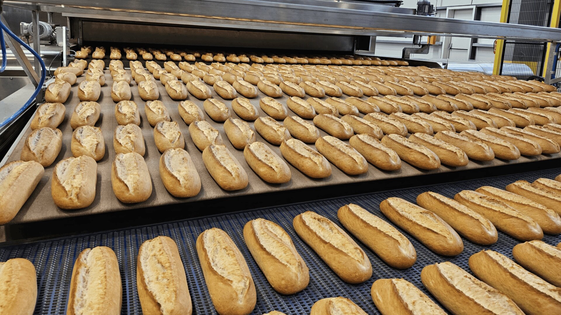 Rows of freshly baked baguettes move along a conveyor belt in an industrial bakery, heading out of a large oven. The bread loaves are uniformly shaped and golden brown.