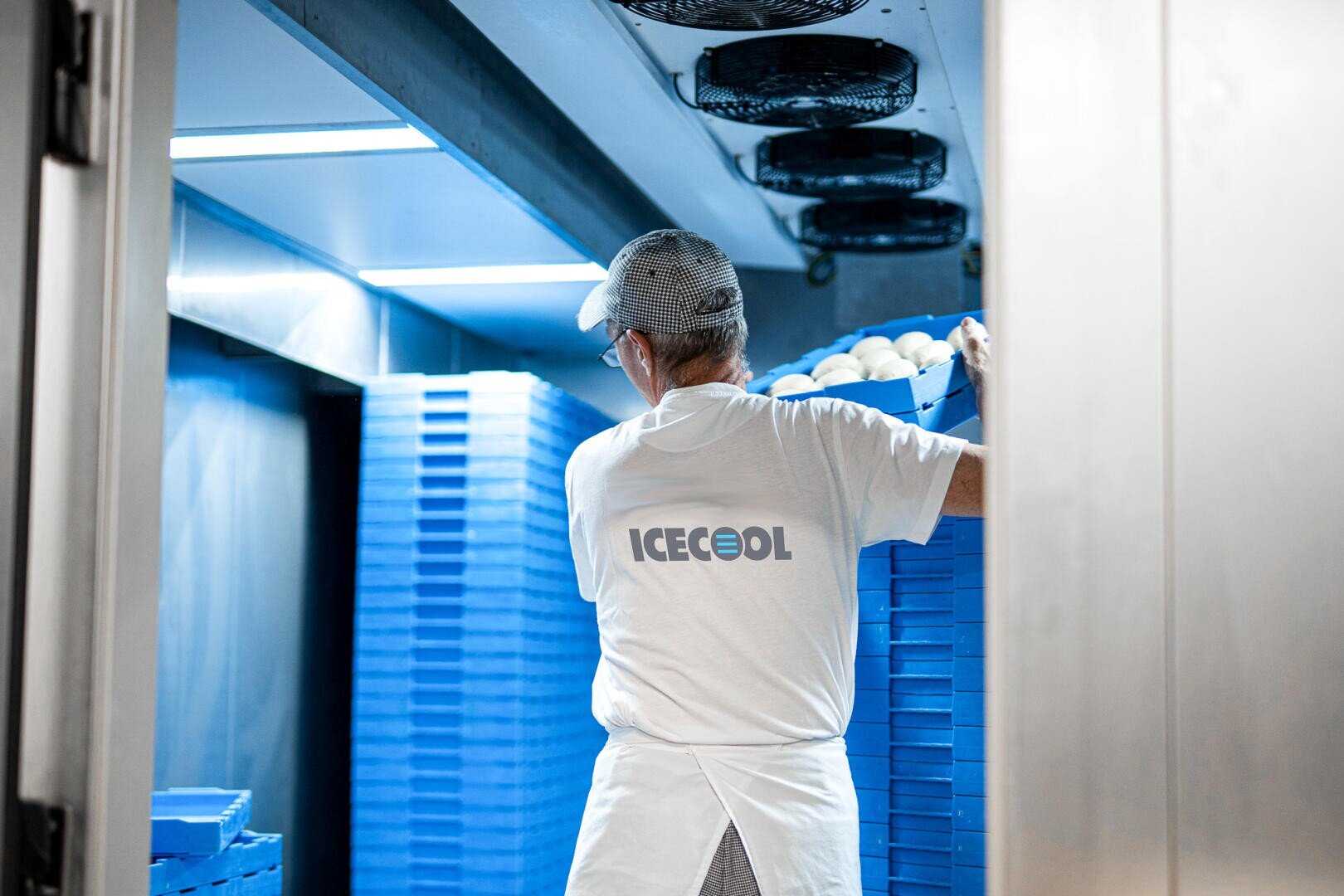 Eine Person, die ein weißes ICECOOL-Hemd, eine Schürze und eine Mütze trägt, stellt blaue Tabletts auf ein gestapeltes Regal in einem Kühlraum mit Industrieventilatoren an der Decke.