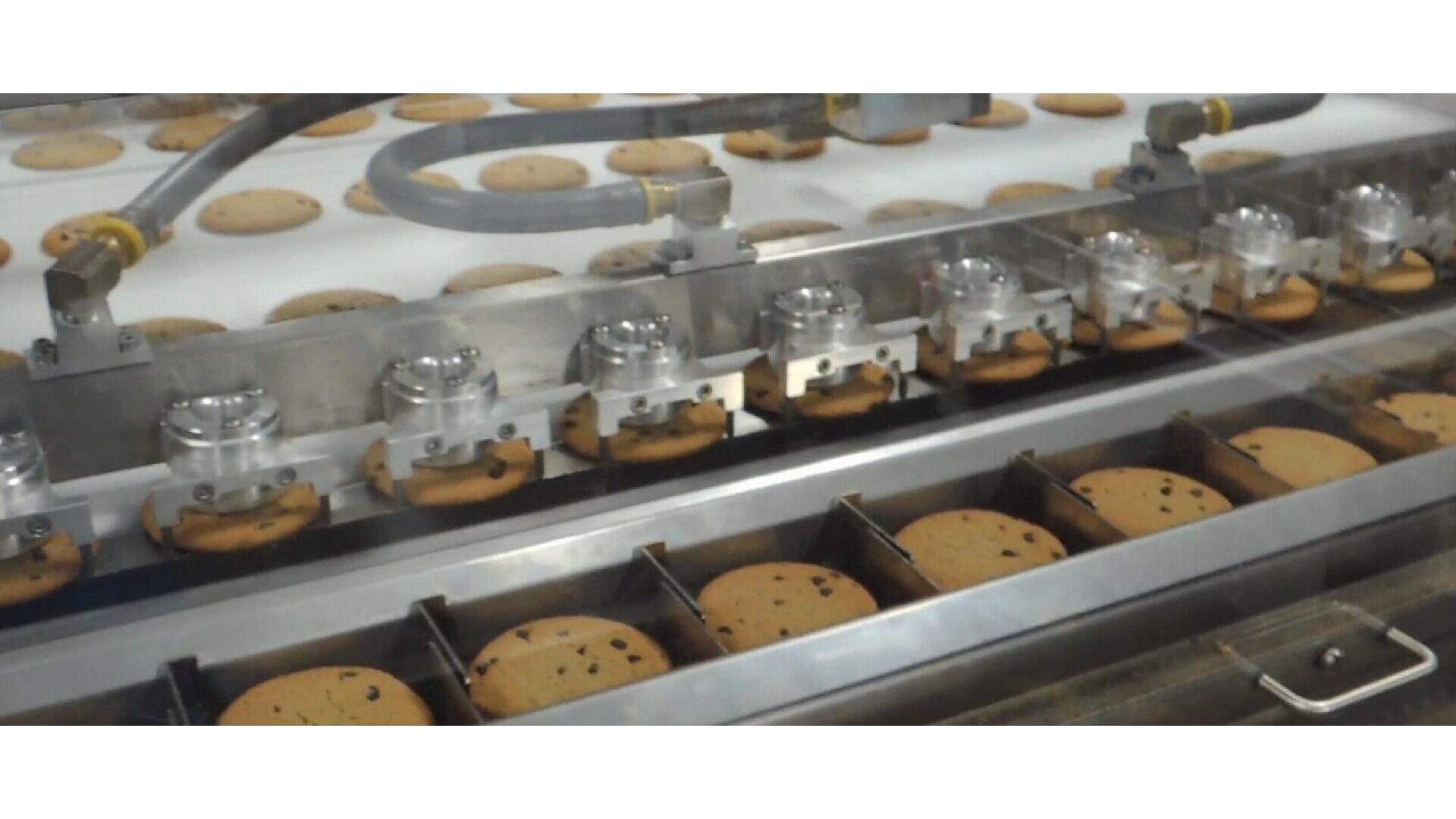 Schokoladenkekse laufen in einer Fabrik über ein Förderband und unter einer Maschine hindurch, die sie für die Verpackung in einzelne Schalen sortiert oder verarbeitet.