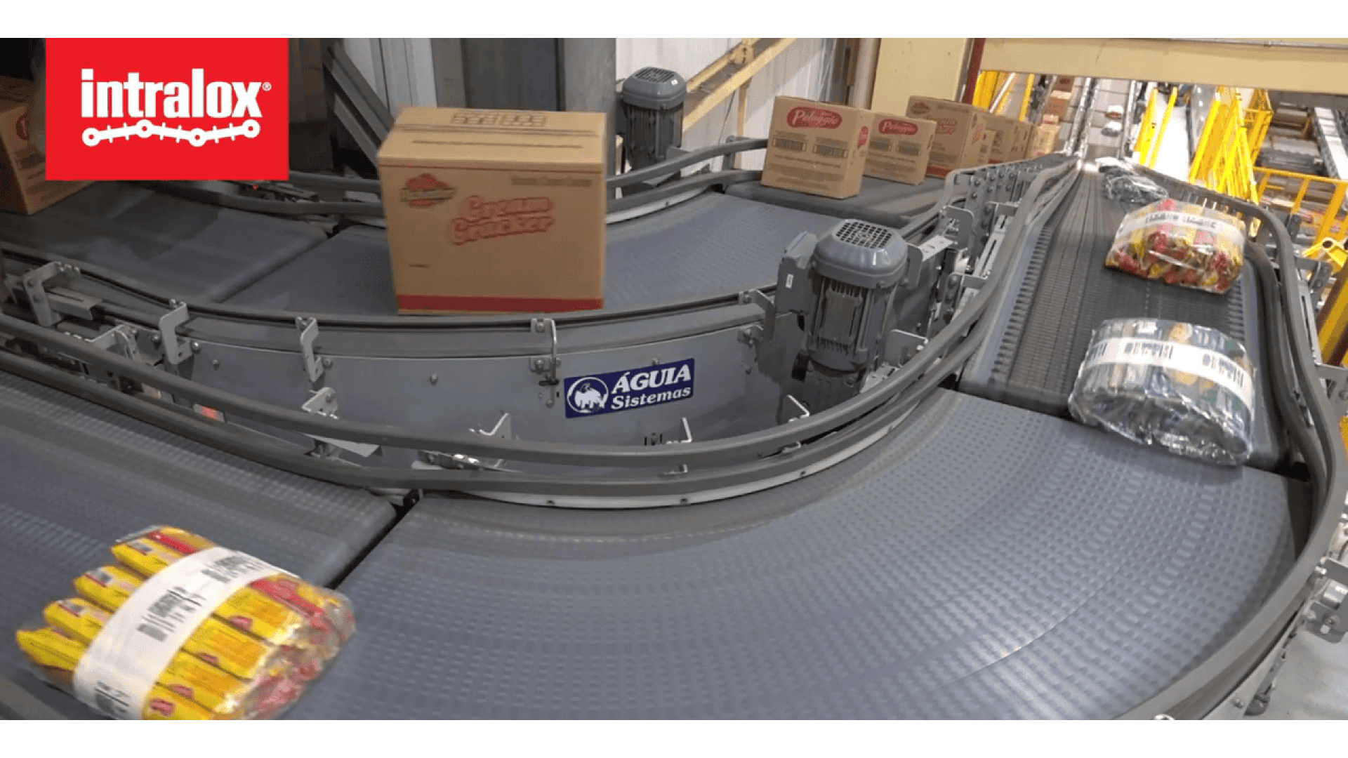 Kartons und Pakete laufen über ein gebogenes Förderbandsystem in einem Lager, mit einem intralox-Logo in der oberen linken Ecke und einem AGUIA Sistemas-Schild an der Fördermaschine.