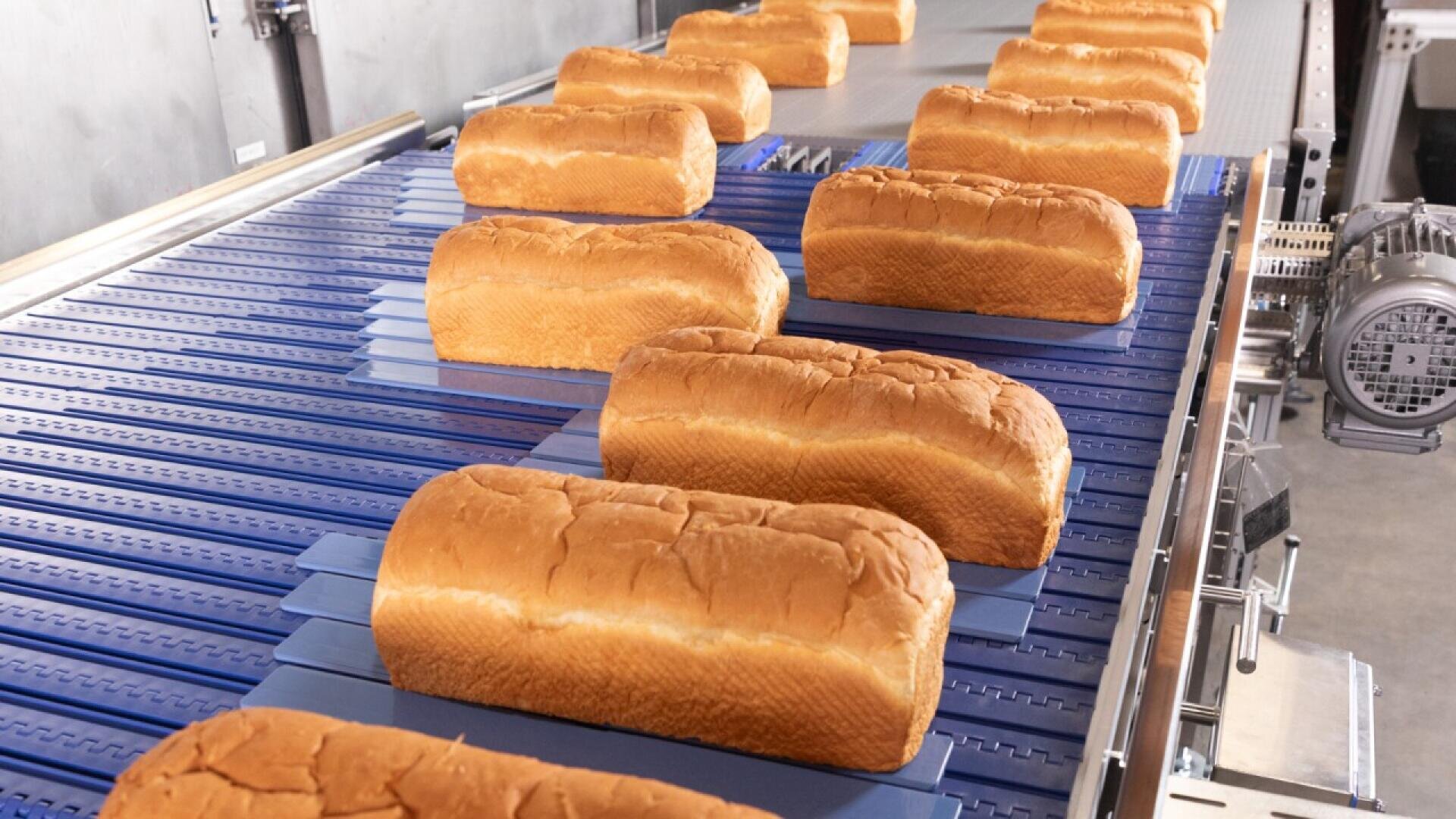 Brotlaibe werden auf einem blauen Förderband in einer Großbäckerei transportiert, im Hintergrund sind Maschinen zu sehen.