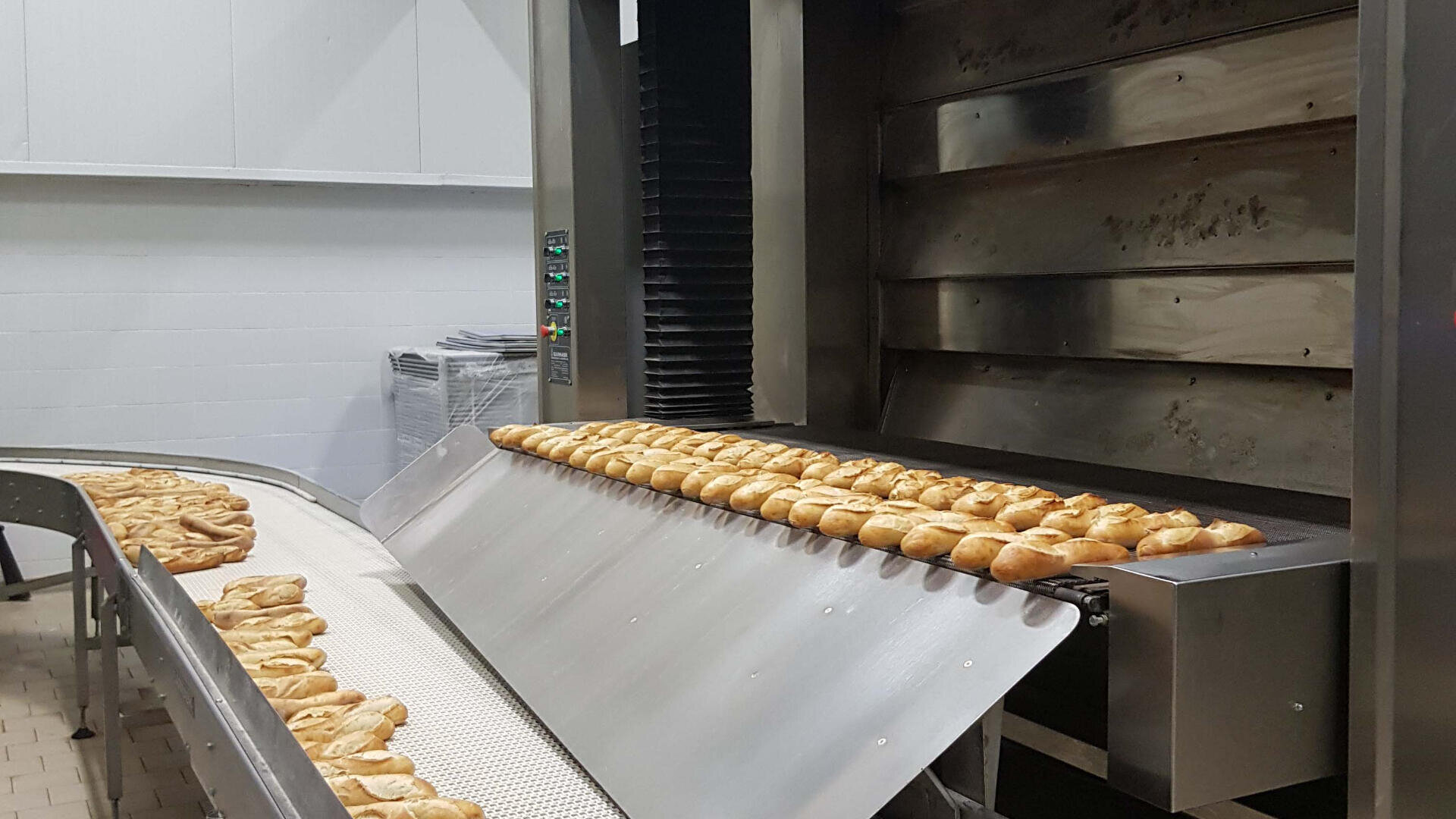 Frisch gebackene Brötchen laufen in einer Großbäckerei über ein Förderband, vorbei an einem großen Industrieofen in einer sauberen, modernen Anlage.