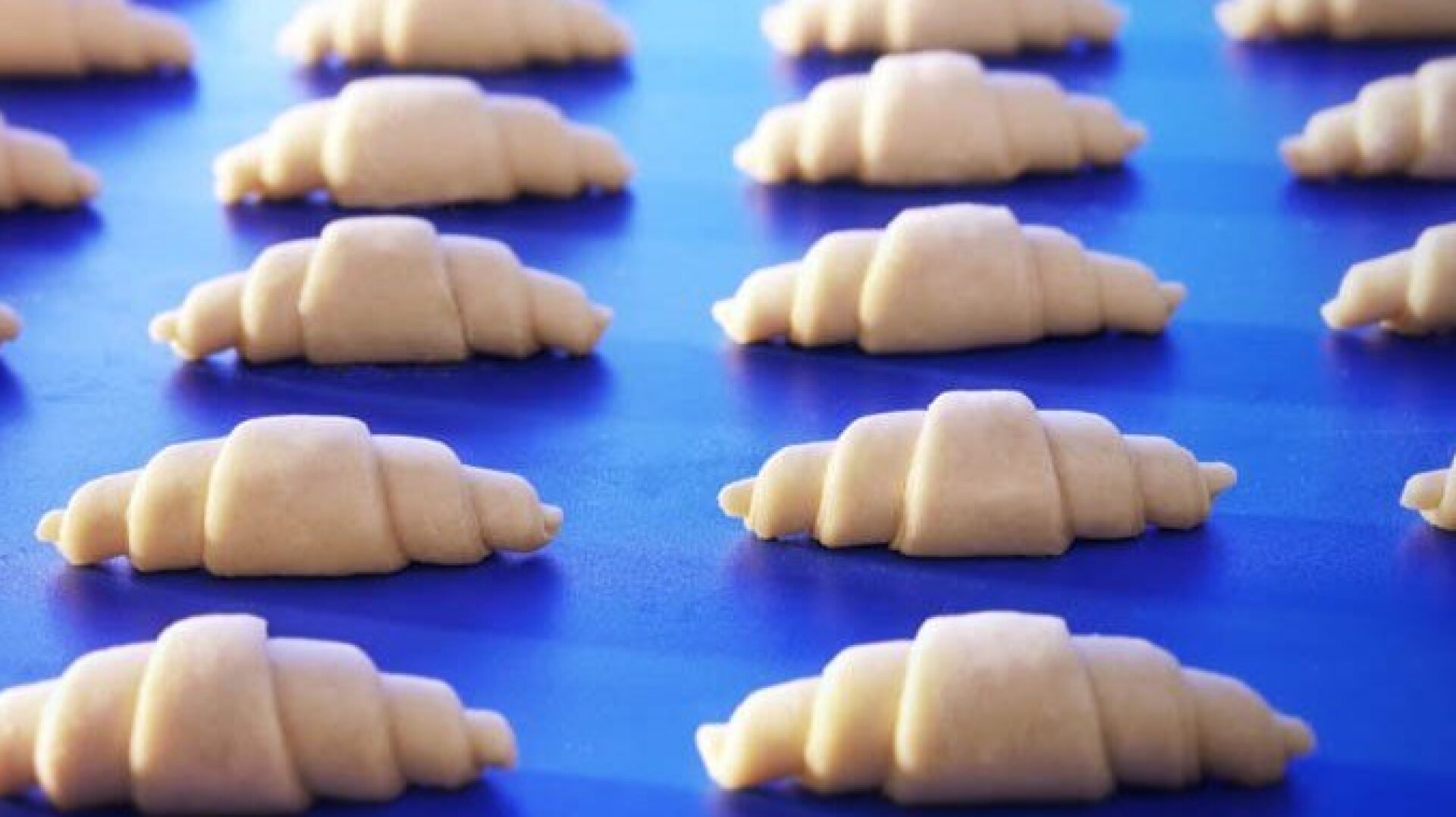 Reihen ungebackener Croissant-Teigstücke sind ordentlich auf einer blauen Oberfläche angeordnet und bereit zum Backen.