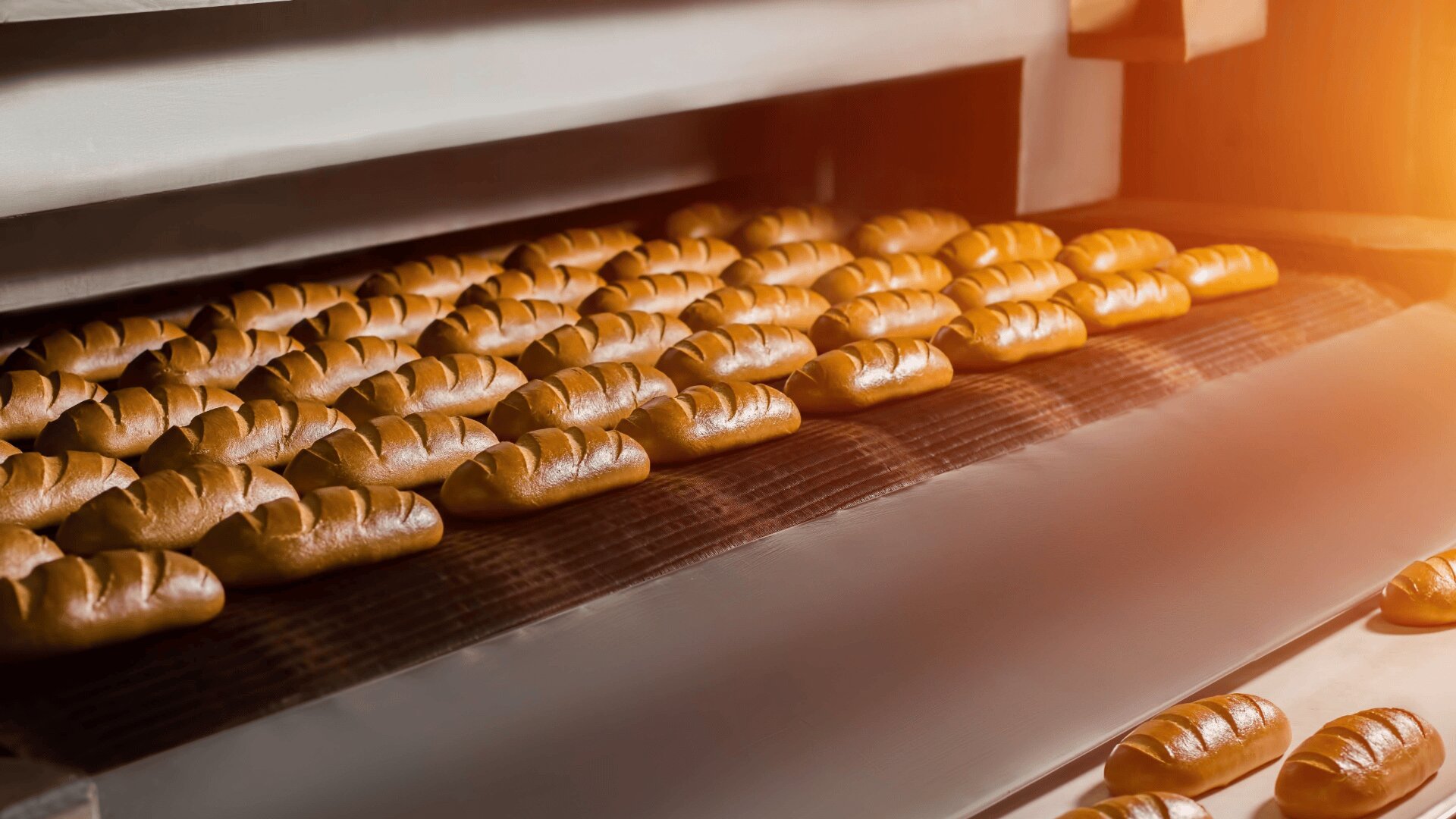 Rows of freshly baked bread rolls move along a conveyor belt inside an industrial oven in a bakery, with warm lighting illuminating the baked goods.