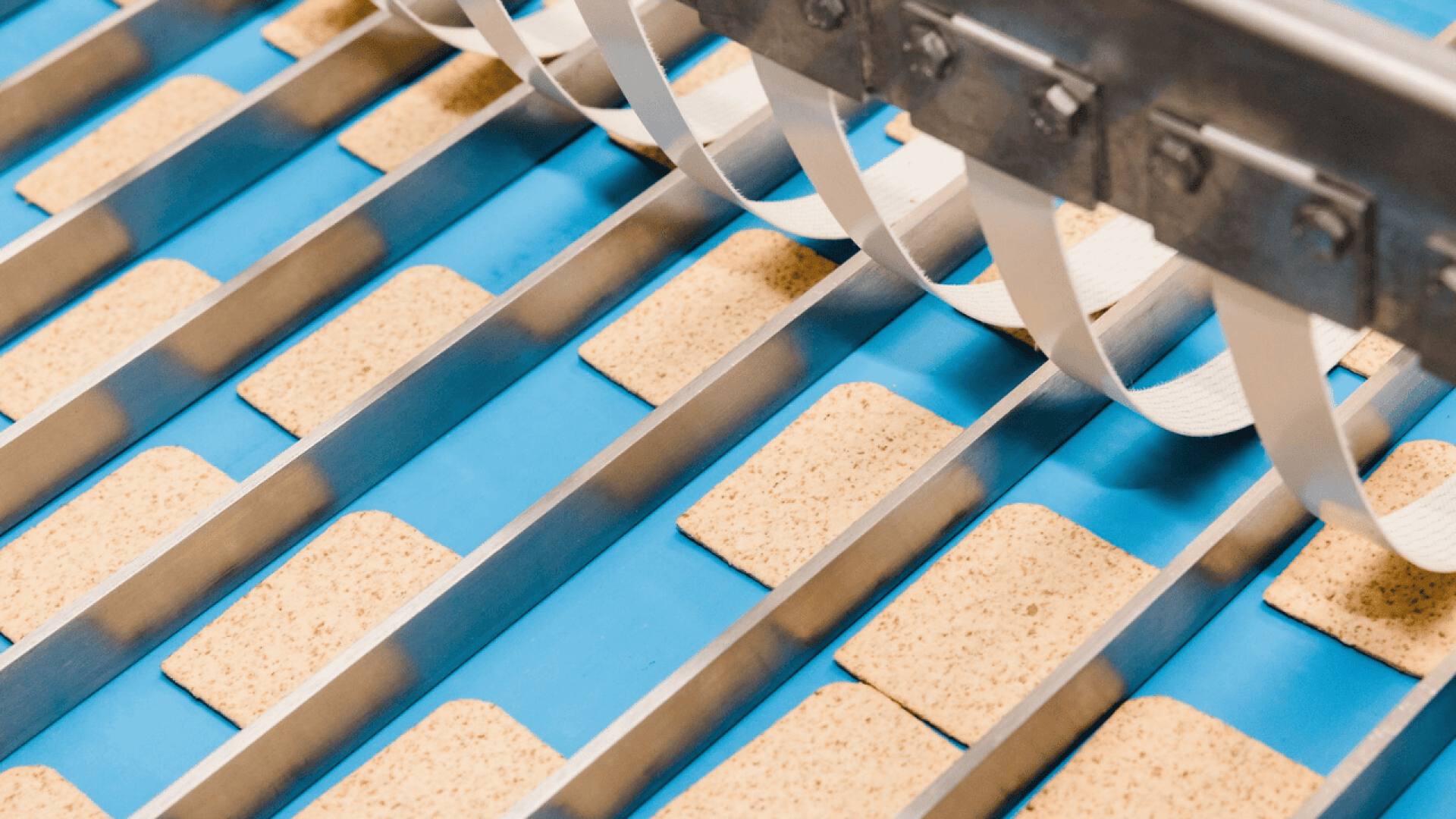 Rectangular cookies or crackers are lined up on a blue conveyor belt in a factory, with white belts and metal guides organizing them for automated processing or packaging.