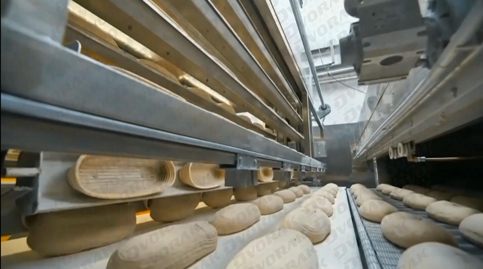 Rows of unbaked loaves of bread move along a conveyor belt in an industrial bakery, surrounded by metal machinery and equipment.
