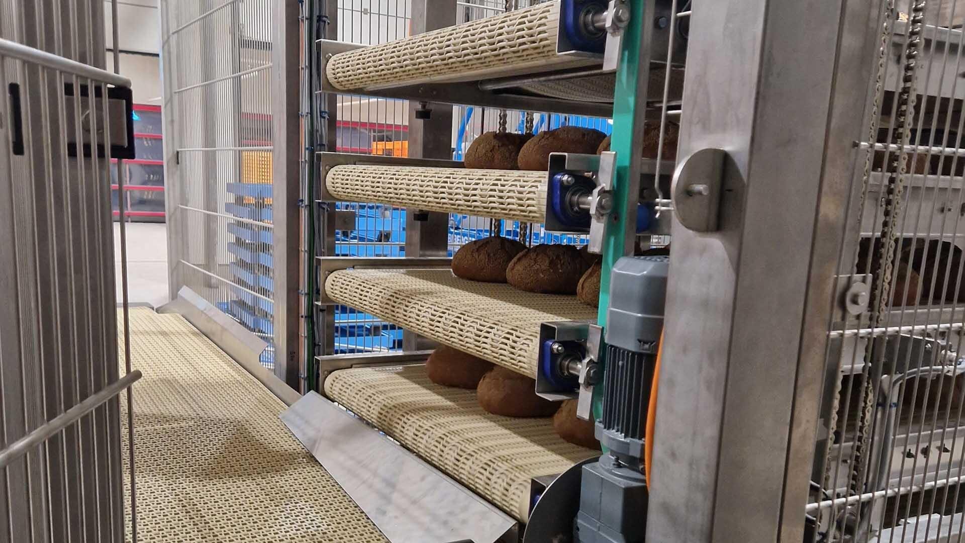 In einer industriellen Bäckerei kühlen mehrere Brotlaibe auf mehrstufigen Förderbändern ab, die von Metallmaschinen und Schutzwänden umgeben sind.