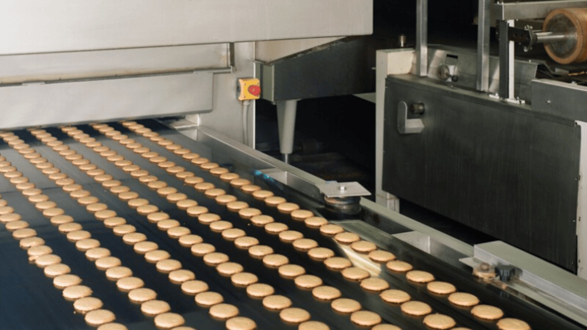 Rows of round cookies move along a conveyor belt in an industrial bakery, passing through a large metal baking machine as part of an automated production process.