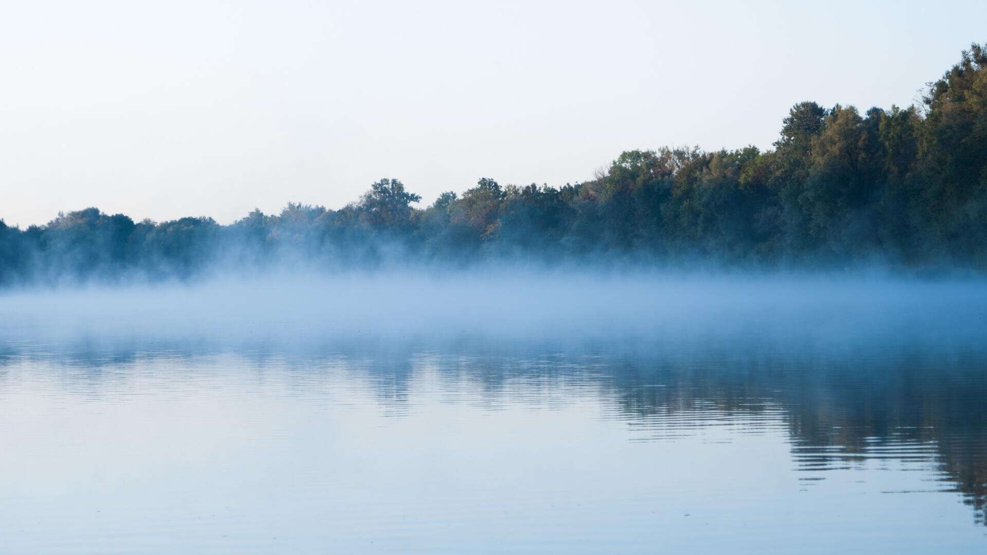 Ein ruhiger See mit leichtem Nebel, der über dem Wasser aufsteigt, eingerahmt von einer Reihe dichter grüner Bäume unter einem klaren, hellen Himmel.