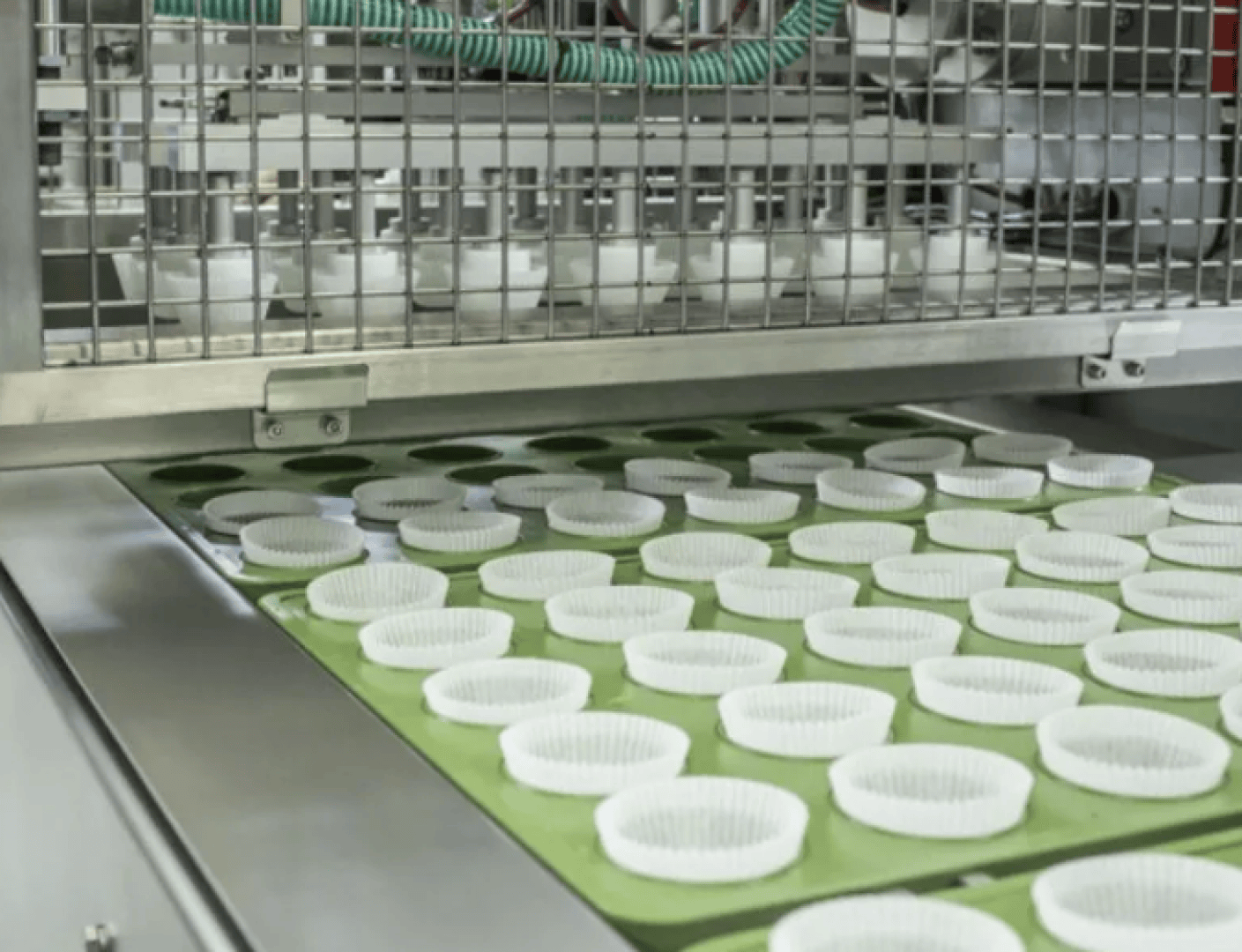 Rows of empty white muffin tins are arranged on a conveyor belt under a metal grid in an industrial baking plant and prepared for automatic production.