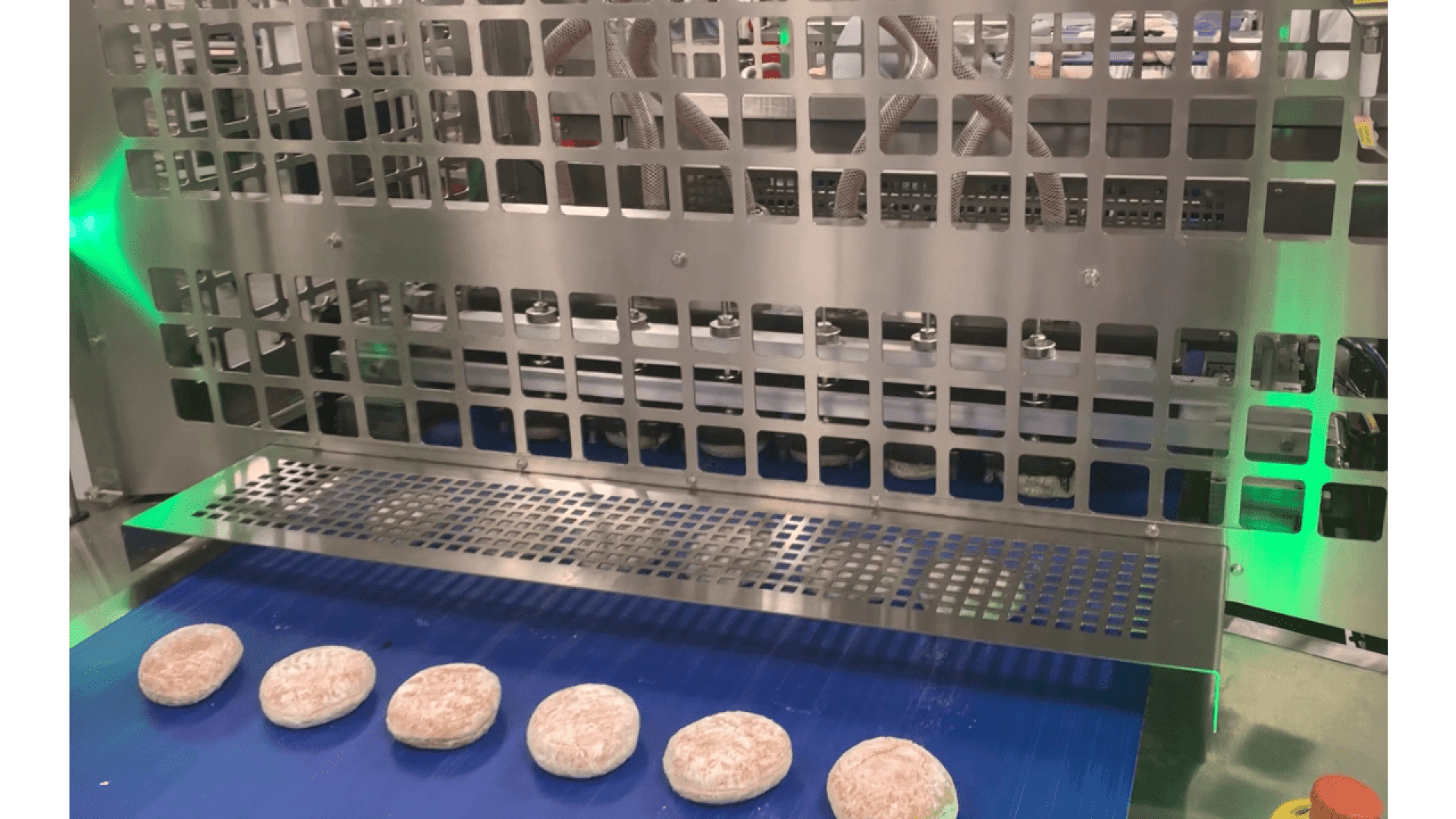 Sechs runde Brötchen liegen aufgereiht auf einem blauen Förderband und laufen durch eine Industriemaschine aus Edelstahl mit einer gitterartigen Metallabdeckung in einer Lebensmittelverarbeitungsanlage.