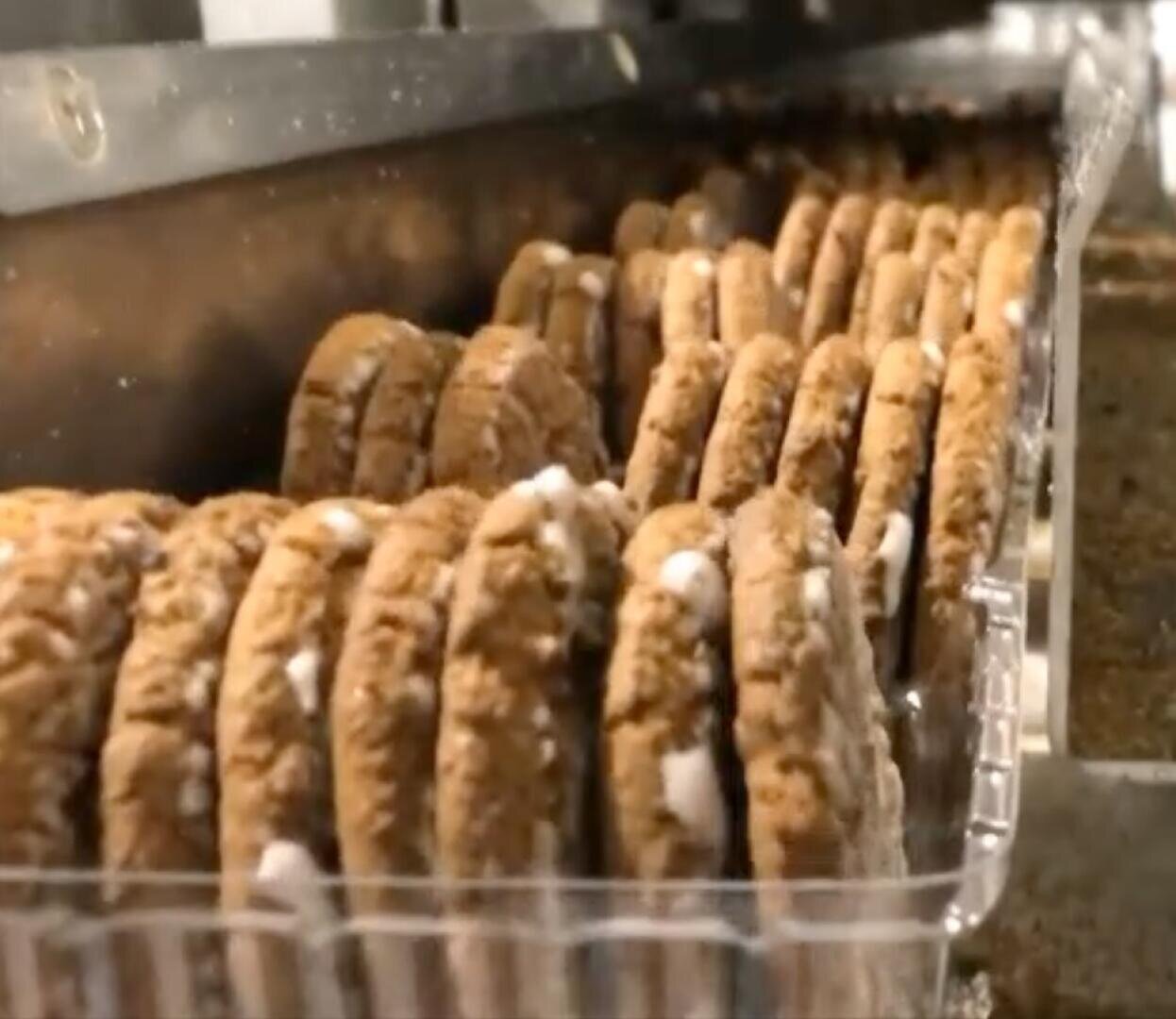 Rows of sandwich cookies filled with white cream move along a conveyor belt and are neatly stacked in clear plastic trays during a factory packaging process.