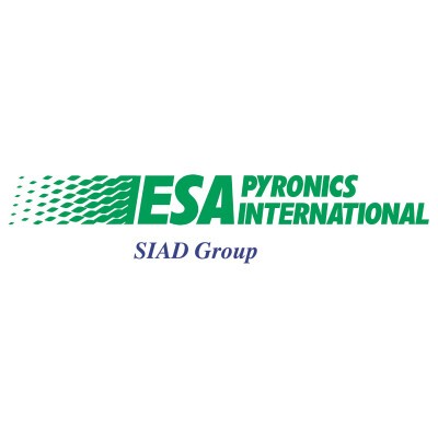 Logo ESA