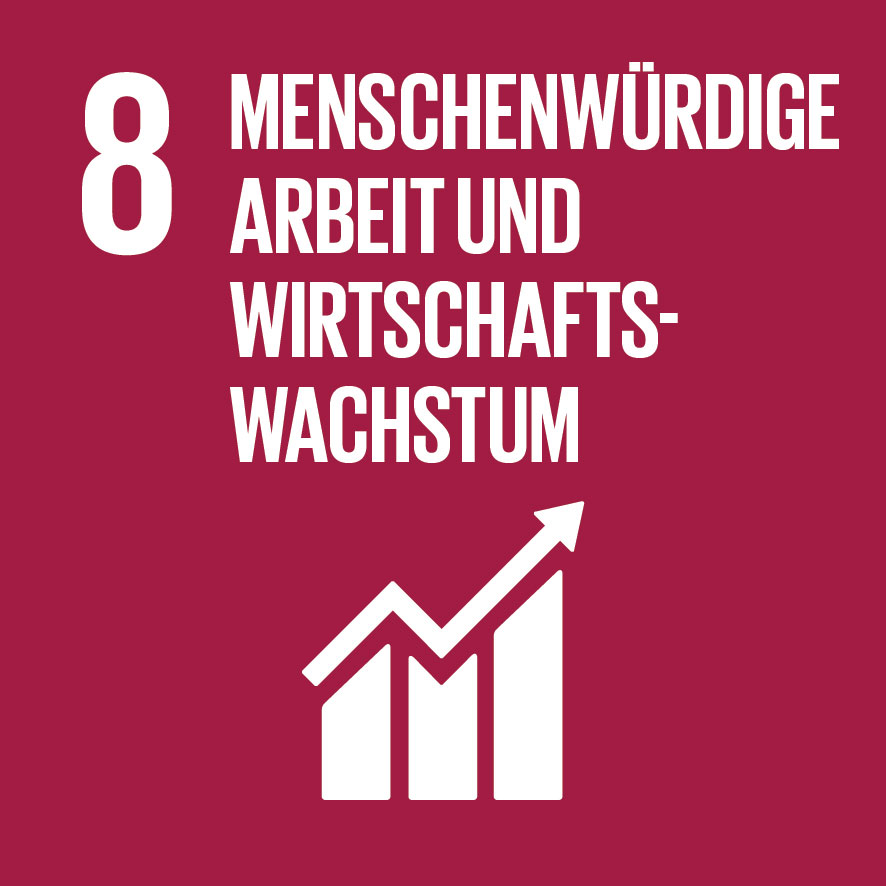 SDG-icon-DE-08.jpg (0.1 MB)