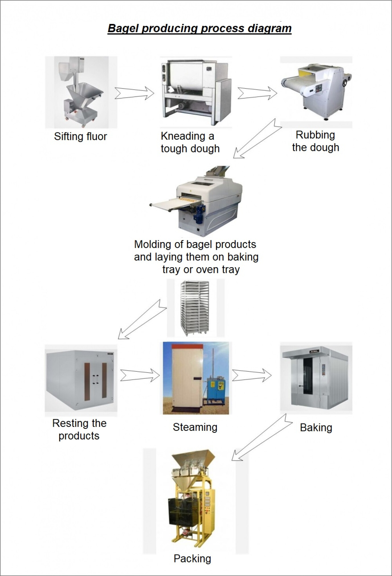 Bagel producing process diagram.jpg (0.2 MB)
