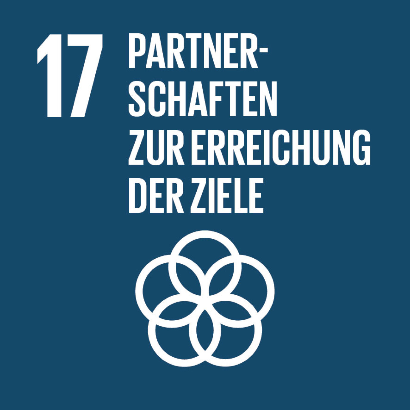 SDG-icon-DE-17.jpg (0.1 MB)