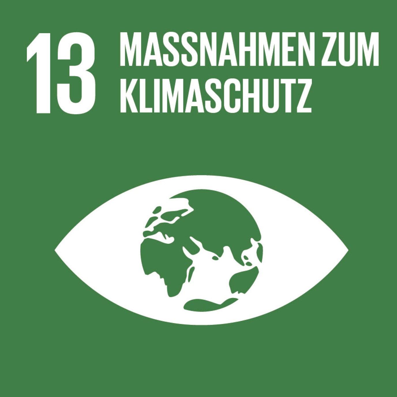 SDG-icon-DE-13.jpg (0.1 MB)